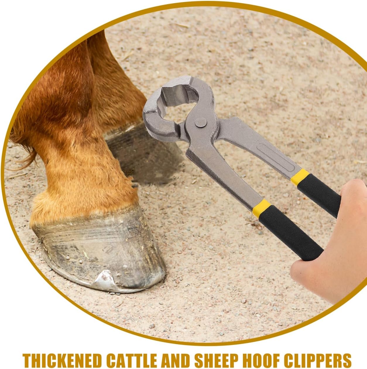 BESPORTBLE Hoof Trimmer Pliers for Cattle and Sheep Lightweight Portable Farrier Tool with Comfortable Grip Durable Metal Hoof Cutter for Easy Care