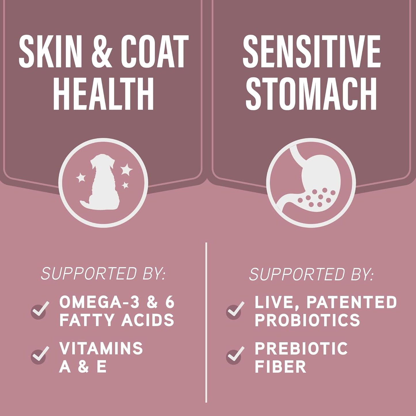 Natural Balance Specialized Nutrition Dry Dog Food with Salmon and Oatmeal for Dogs, Sensitive Skin & Stomach Dog Food, Natural Ingredients with Added Vitamins & Minerals - 22 lbs