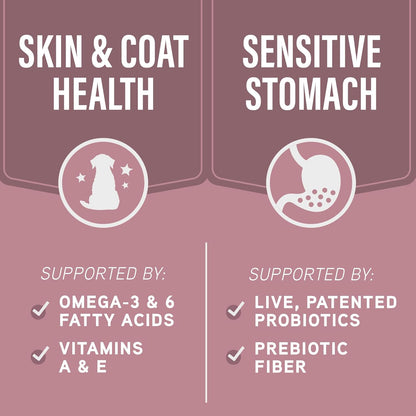 Natural Balance Specialized Nutrition Dry Dog Food with Salmon and Oatmeal for Dogs, Sensitive Skin & Stomach Dog Food, Natural Ingredients with Added Vitamins & Minerals - 22 lbs