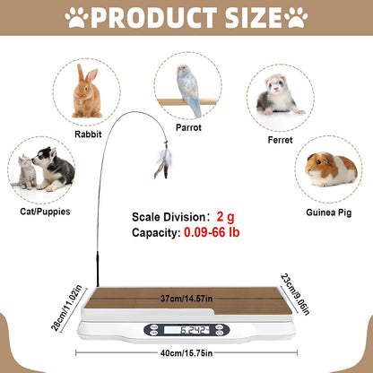 Multifunctional Pet Scale Max 66 Lbs Cat Dog Scale with LCD Display & Hold/Tare Function for Kittens Puppies Includes Scratcher Toys and Health Supplies
