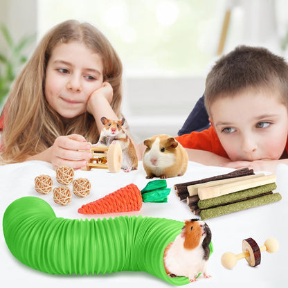 Kyouki Hamster Toys Guinea Pig Toys Set with Tunnel, Chewable Apple Wood & Natural Timothy Hay - Enrichment Chew Toys for Small Animals - 24+ Cage Accessories for Teeth Care & Boredom Relief (Green)