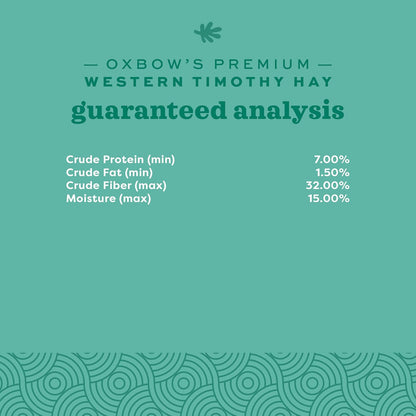 Oxbow Western Timothy Hay, Guinea Pig Hay, Small Pet Bunny Supplies, All Natural Grass for Guinea Pig, Bunny, Chinchilla & Hamster, Oxbow Rabbit Supplies for Bunnies, 90 oz. bag