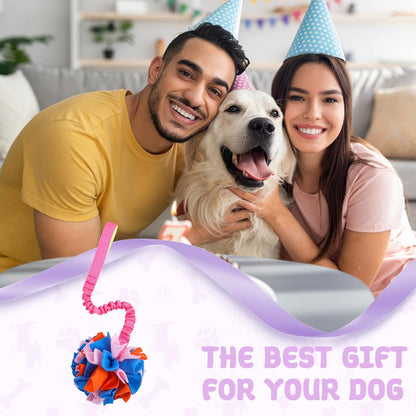 Snuffle Ball with Bungee Tug, Tug of War Rope Toys for Small Medium Dogs, Interactive Dog Toys Puppy Training Pull Toy for Exercise & Interactive Play Games (Light Pink)