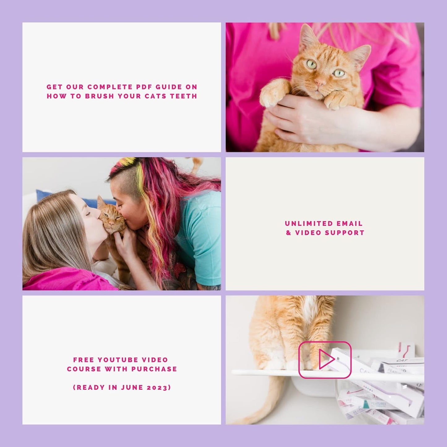 RYERCAT Flamingo Dual Sided Cat Toothbrush - Micro Head ToothBrush to fit into Cat's Mouth - Cat Dental Supplies