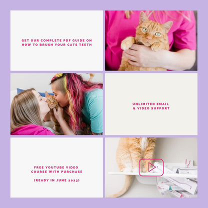 RYERCAT Flamingo Dual Sided Cat Toothbrush - Micro Head ToothBrush to fit into Cat's Mouth - Cat Dental Supplies