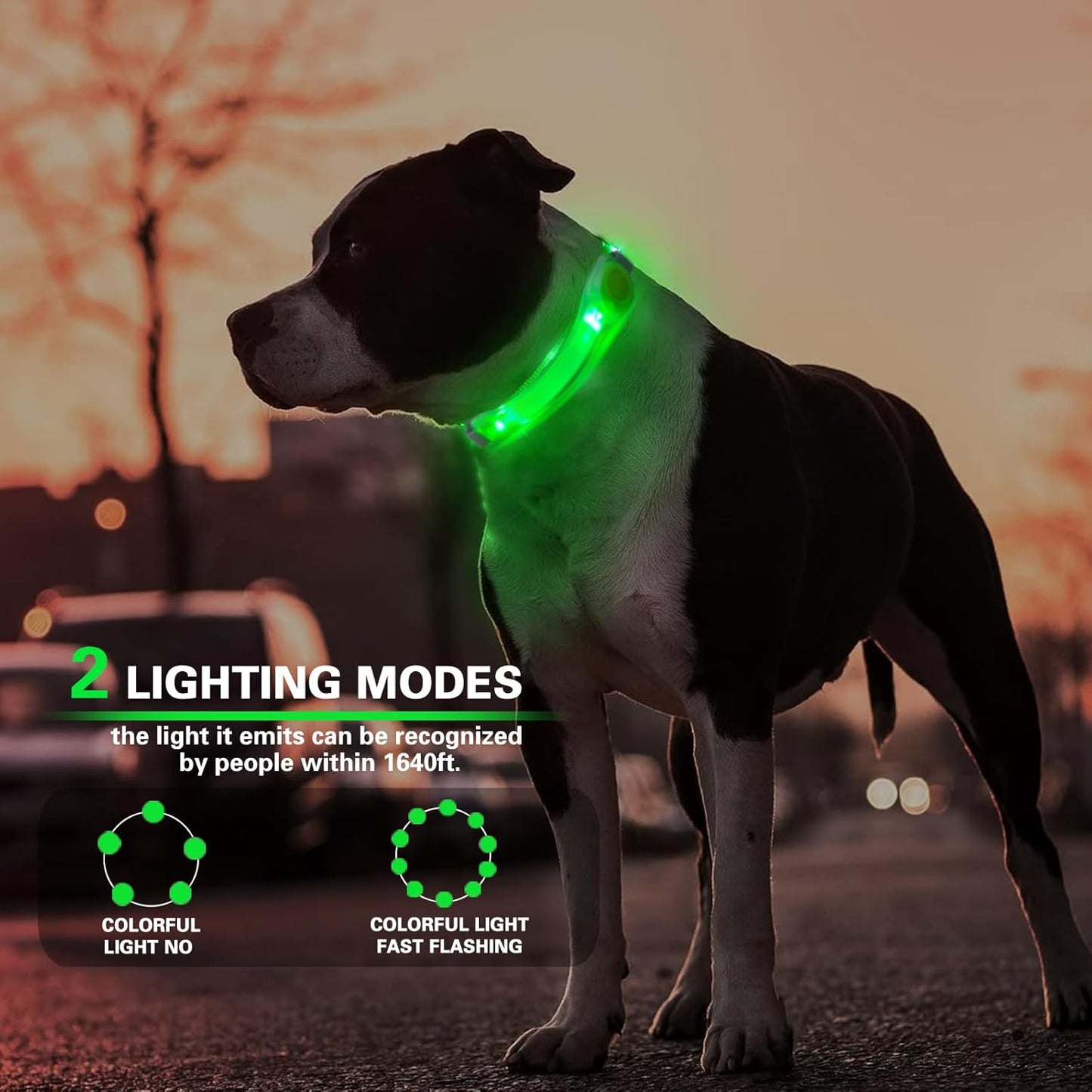 2 Pack LED Light for Dog Leash Harness, Light Up Dog Collar with Nylon Stickers, Waterproof Glow Light Easy to Attach to Collar Leash and Harness, Safety LED Light Up Band for Dogs at Night Walking