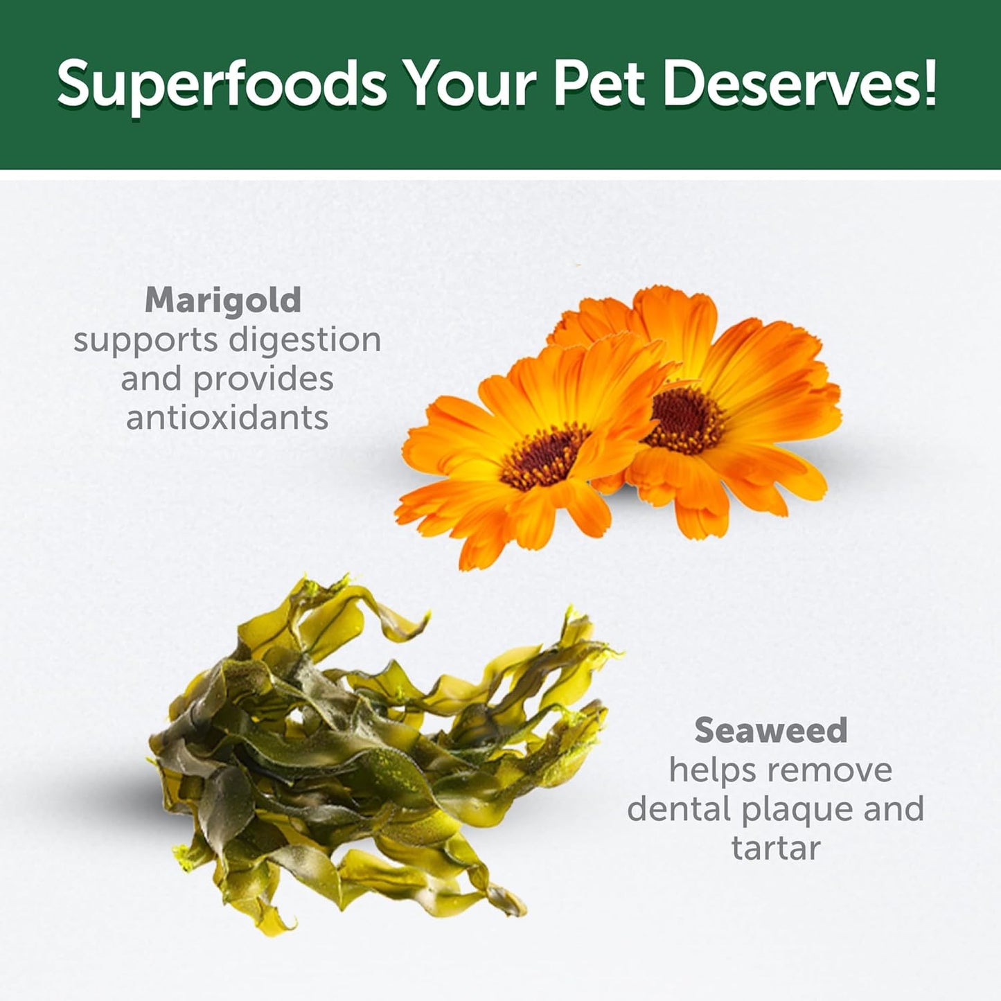 Nature's Protection Cat Dental Treats - Crunchy Oral Care Chews for Cat Teeth Cleaning for Adult Cats - No Bad Breath, Less Hairball (Superior Care - Poultry, 2.64 oz)