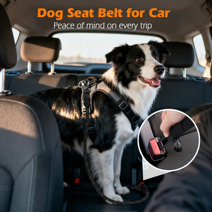 PetBonus No Tangle Double Dog Leash and Dog Seat Belt for Car