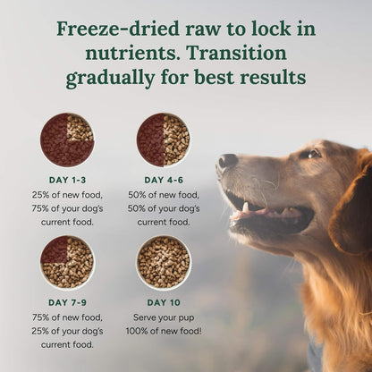 360 Pet Nutrition Freeze-Dried Raw Dog Food – Beef Recipe with Liver & Organs, High Protein with Omega-3s, Fruits, Veggies & Superfoods, Grain-Free, No Fillers, 1 lb – Made in USA