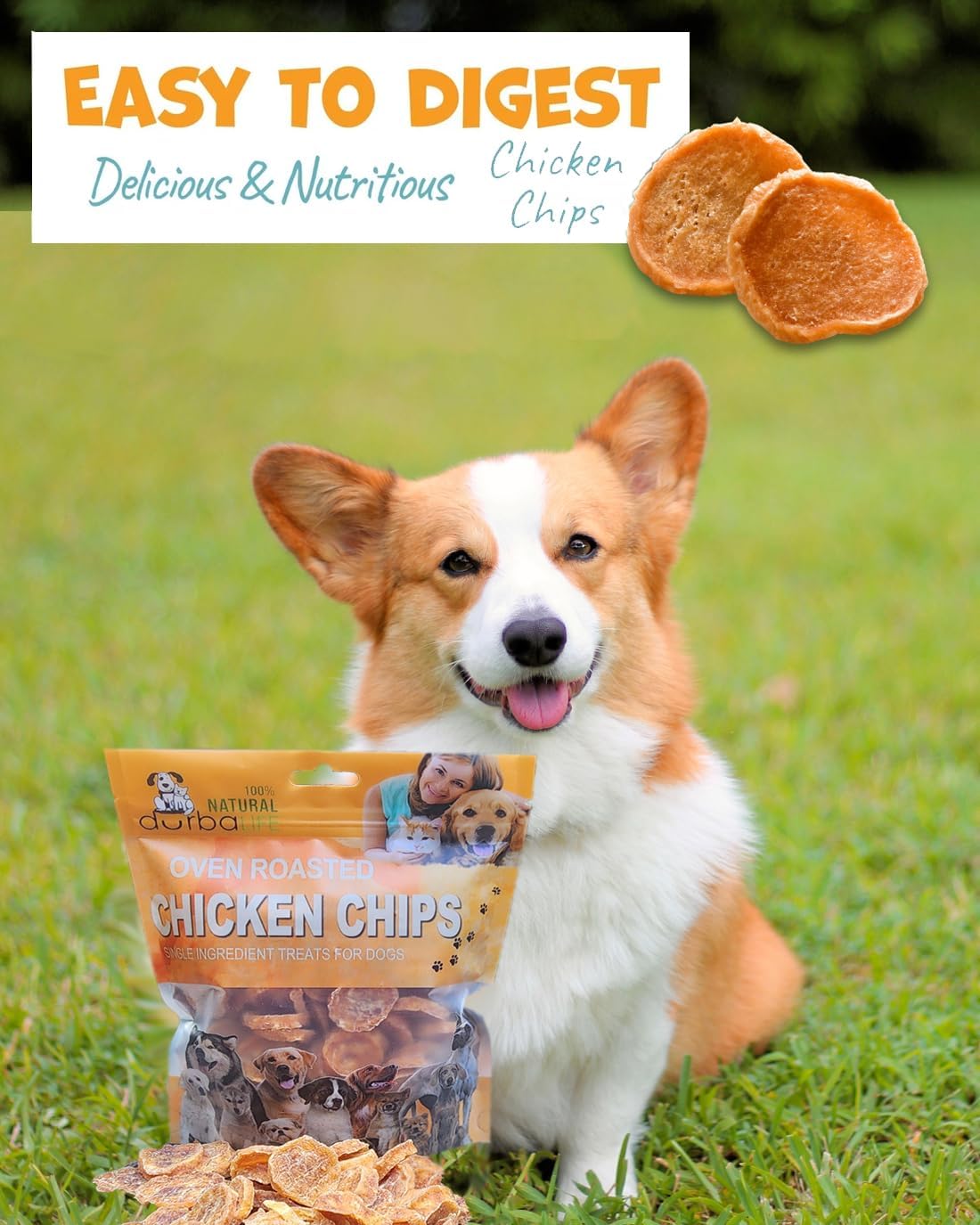 Chicken Chips Dehydrated Single Ingredient Treats for Dogs | Easy Chew | 1" Treat Size Ideal for Dog Training, Especially Puppies (4.0 oz (114g))