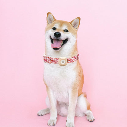 Elegant little tail Airtag Dog Collar, Valentine's Dog Collar Pet with Airtag Holder Heart Pet Collar Dog Girl Boy Puppy Collar Adjustable Dog Collars for Medium Dogs
