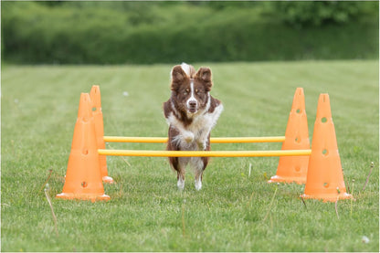 TRIXIE Dog Agility Hurdle Cone Set – Dog Agility Set with Height Adjustable Crossbar for Beginners & Advanced, Dog Agility Equipment for Dog Obstacle Courses – 6 x Cones, 3 x Agility Rods