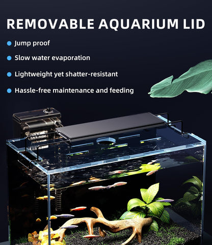 5 Gallon Fish Tank Aquarium Kit with Filter, LED Light with Timer, Siphon Vacuum Cleaner, Lid, Self-Cleaning Glass Rimless Betta Tank