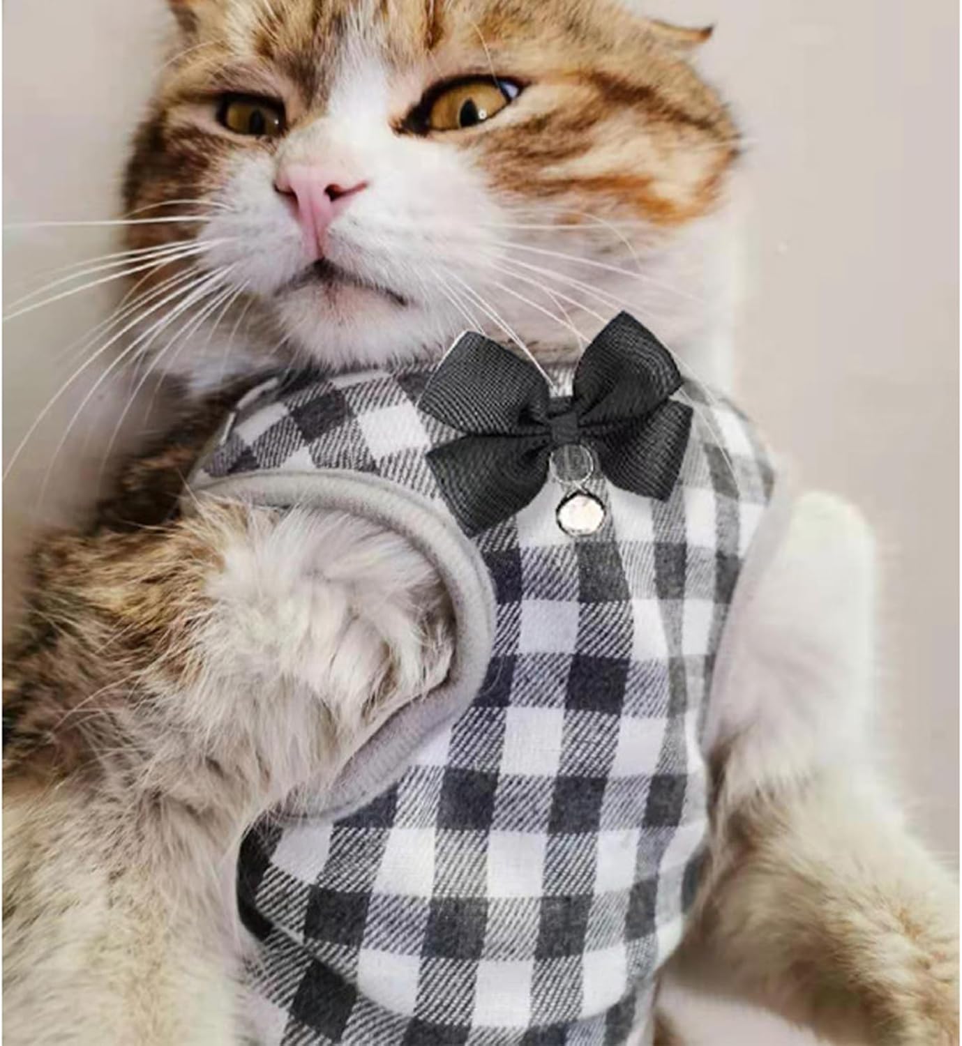 Cat Harness,Pet Escape Proof Walking Vest Strap,Adjustable Breathable Cat Vest Harness Jacket,Cat Clothes (Black, M)