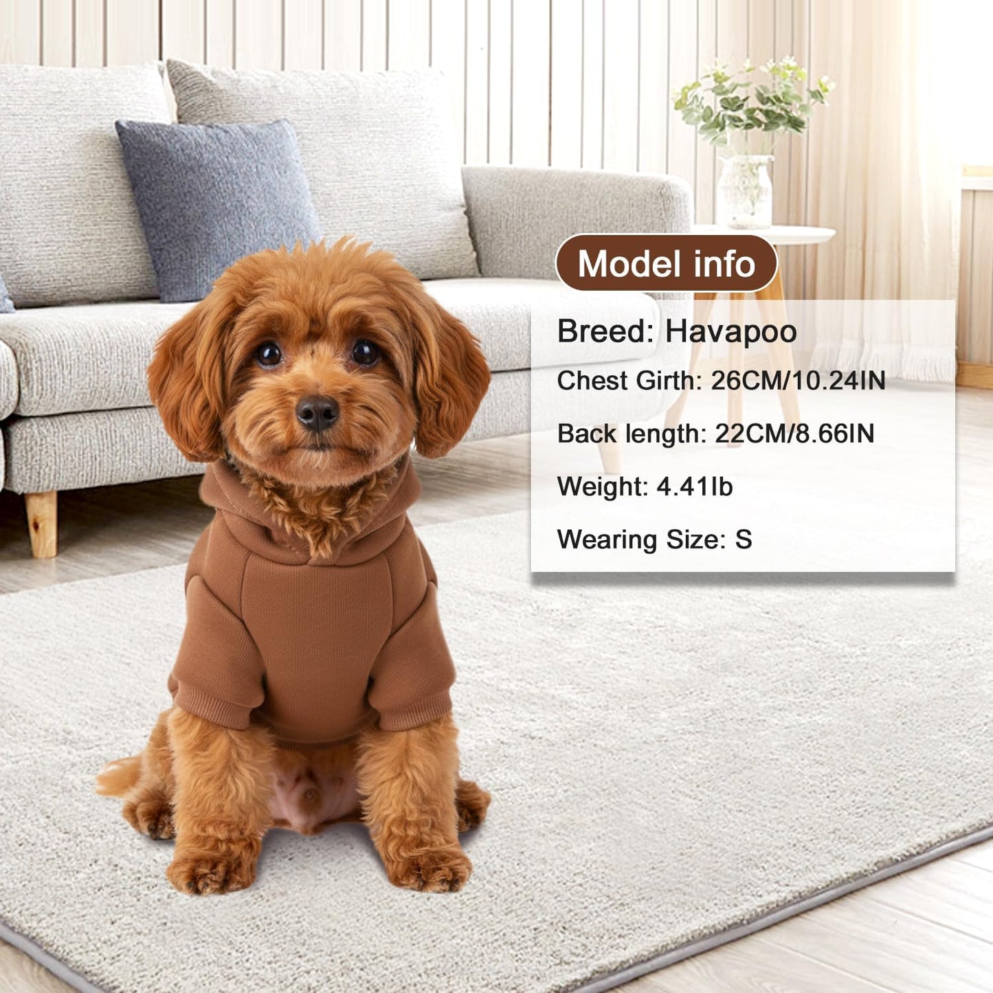 1 Pack Dog Hoodie Warm Hood Dog Sweater Cold Weather Small Dogs Sweatshirt Comfort Pet Clothes for Small Medium Dogs with Pockets Cats Chihuahua Clothes for Male Female Girl Boy Sporty Daily Wear