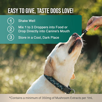 MycoDog Digest - Digestive Support Supplement for Dogs - Gut Health & Microbiome Balance - Probiotic Alternative with Functional Mushrooms and Adaptogens