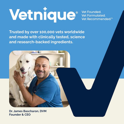 Vetnique Glandex Anal Gland Soft Chew Treats with Pumpkin for Dogs Digestive Enzymes, Probiotics Fiber Supplement for Dogs Boot The Scoot (30ct, Peanut Butter Chews)