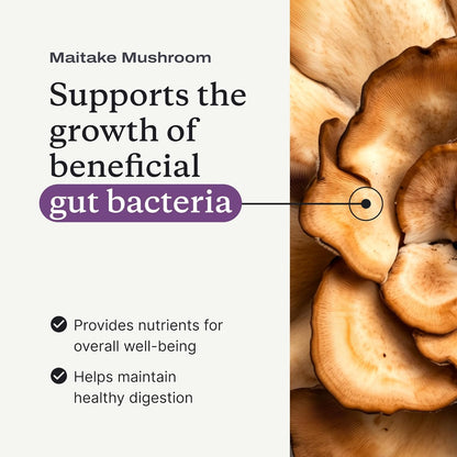 PetLab Co. Pumpkin Fiber for Dogs – Dog Probiotics Powder – High Fiber Supplement with Pumpkin, Apple, Psyllium & Mushrooms – Supports Digestion, Gut Health & Regular Bowel Movements – 30 Scoops