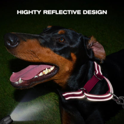 Joytale Martingale Collar for Dogs, Reflective Heavy Duty for Safety, Quick Release Buckle, Adjustable Nylon Collars for Medium Dogs Walking Training, Hotpink,M