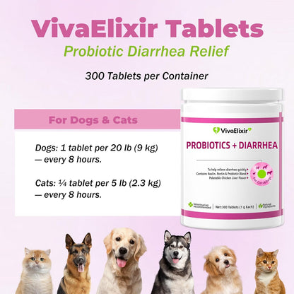 Probiotics for Dogs - Diarrhea Relief for Dogs and Cats - Supports Relief of Diarrhea and Loose Stools - Supports Digestive Balance and Gut Health - with Kaolin Clay and Probiotics - 300 Tablets