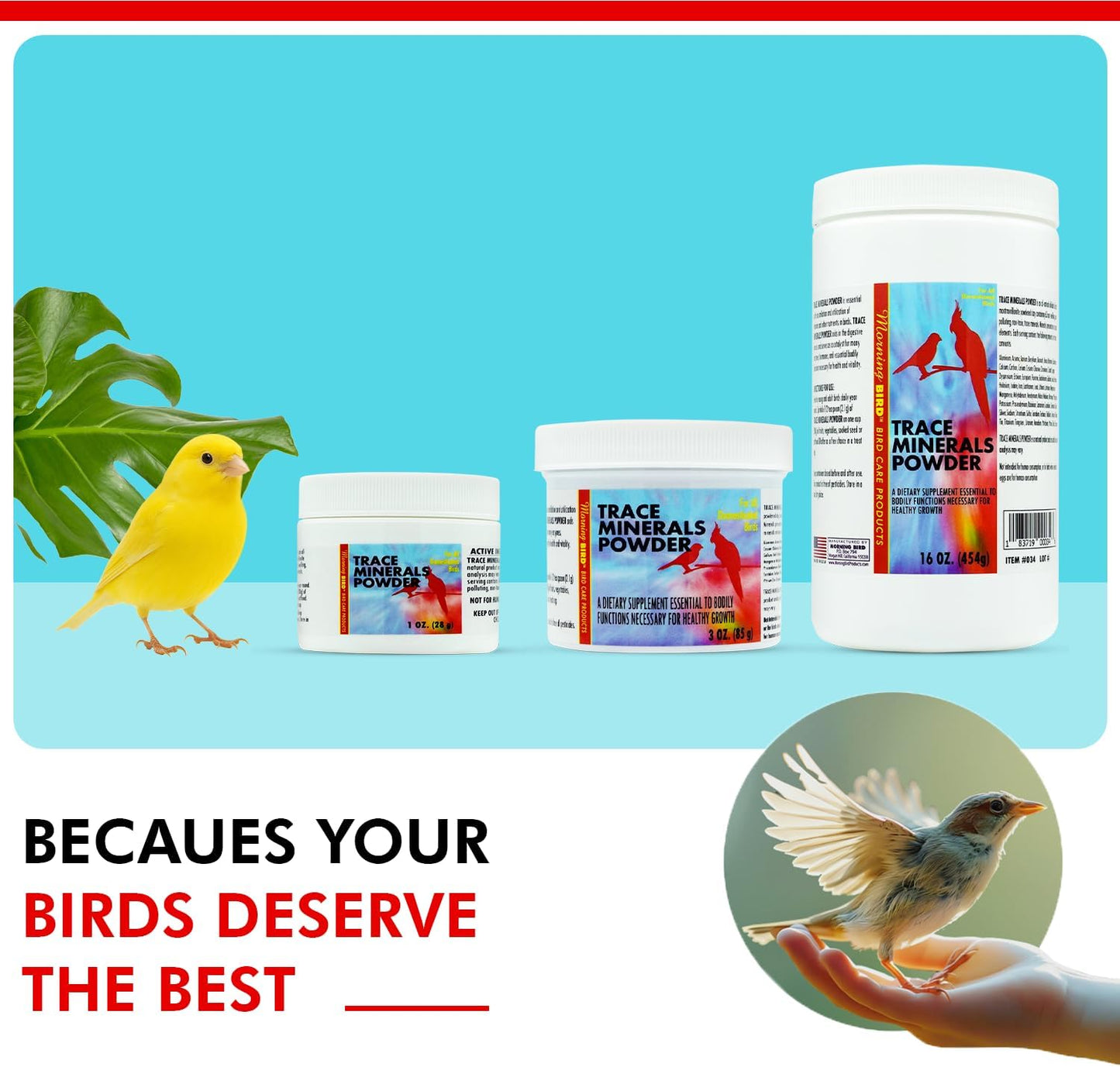 Morning Bird Trace Minerals Powder 1 Oz – Complete Mineral Supplement for Birds – Promotes Energy, Metabolism & Enzyme Activity – Easy to Mix for Daily Vitamin Support.