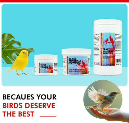 Morning Bird Trace Minerals Powder 1 Oz – Complete Mineral Supplement for Birds – Promotes Energy, Metabolism & Enzyme Activity – Easy to Mix for Daily Vitamin Support.