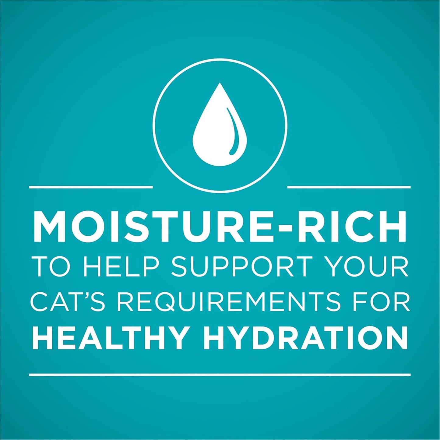 Purina ONE Urinary Tract Health, Natural Pate Wet Cat Food, Urinary Tract Health Beef & Liver Recipe - (Pack of 24) 3 oz. Pull-Top Cans