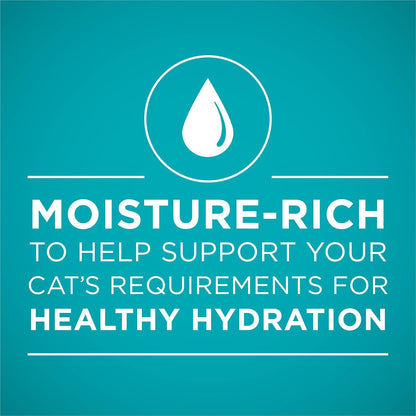 Purina ONE Urinary Tract Health, Natural Pate Wet Cat Food, Urinary Tract Health Beef & Liver Recipe - (Pack of 24) 3 oz. Pull-Top Cans