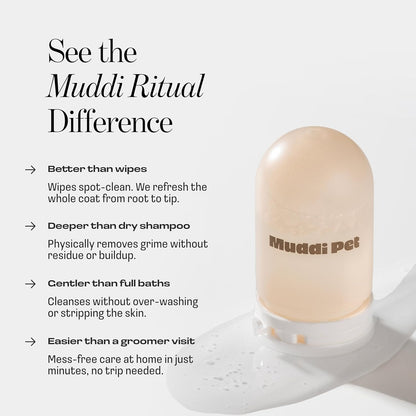 Cat Rinse-Free Shampoo & Conditioner – Dry Shampoo Towel Cleanse for Sensitive Skin, Stress & Itch Relief Gentle Leave-in Serum – 98.65% Naturally Derived, Hydrate & Deodorize – 8 x 10ml