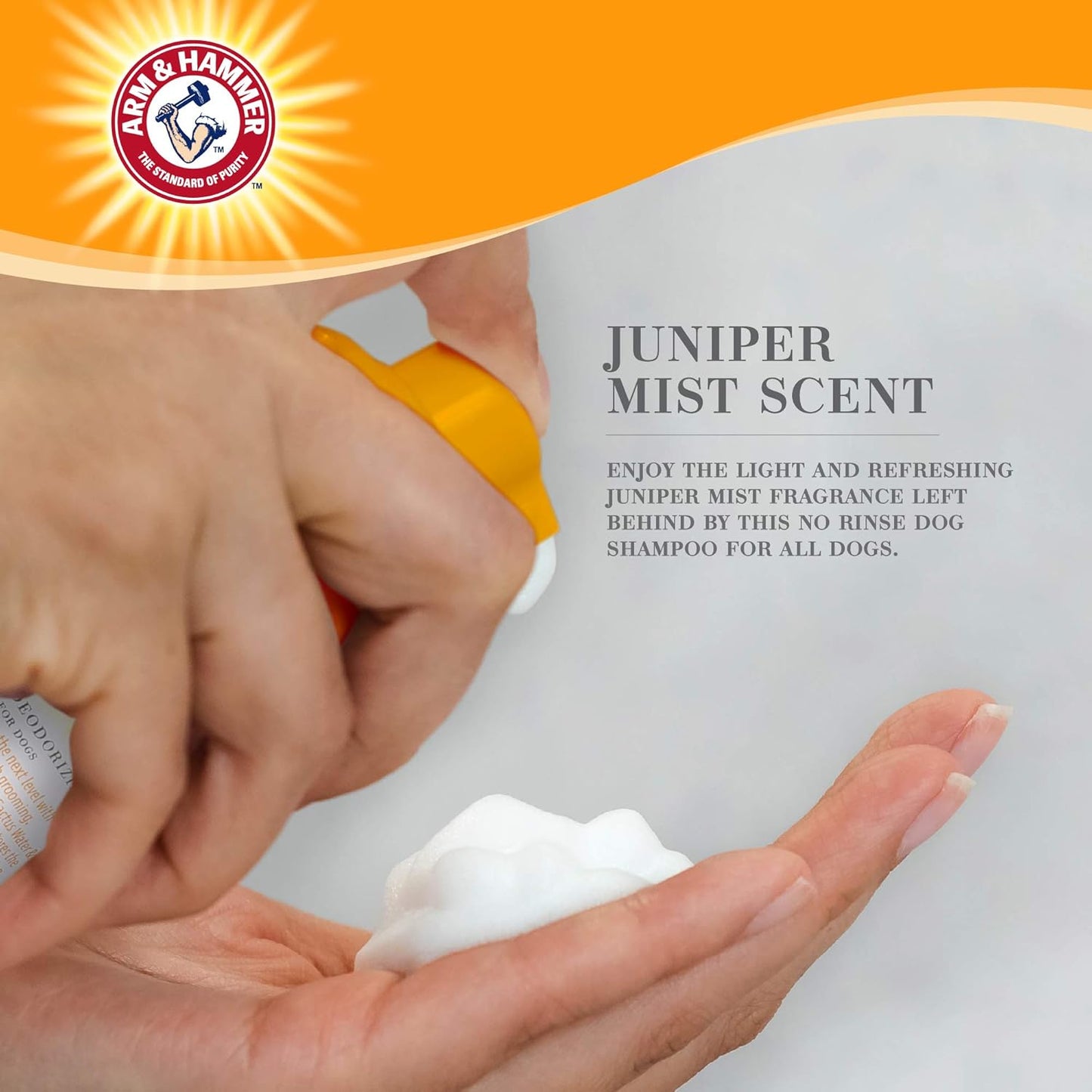 Arm & Hammer for Pets Ultra Fresh Dog Deodorizing Foam, Juniper Mist Scent - No Rinse Waterless Dog Shampoo for Smelly Dogs, Pet Deodorizer, Bathing Supplies, 8 Fl Oz (Pack of 2)
