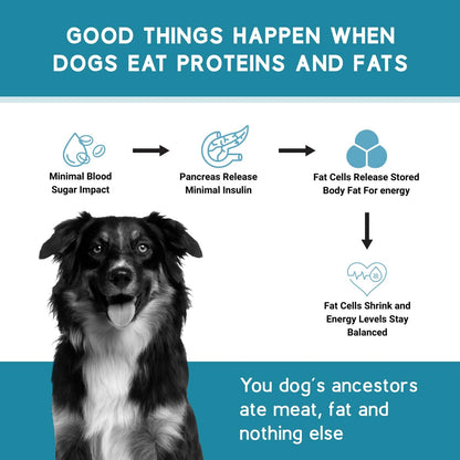 Ketona Chicken Recipe Dry Dog Food (4.2lb) Salmon Recipe Dry Dog Food (4.2lb) Bundle, High Protein and Low Carb, The Nutrition of a Raw Diet with The Cost and Convenience of a Kibble