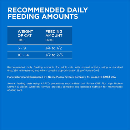 Purina ONE Plus High Protein Cat Food Dry Salmon and Ocean Whitefish Cat Skin and Coat Health Formula - 7 lb. Bag