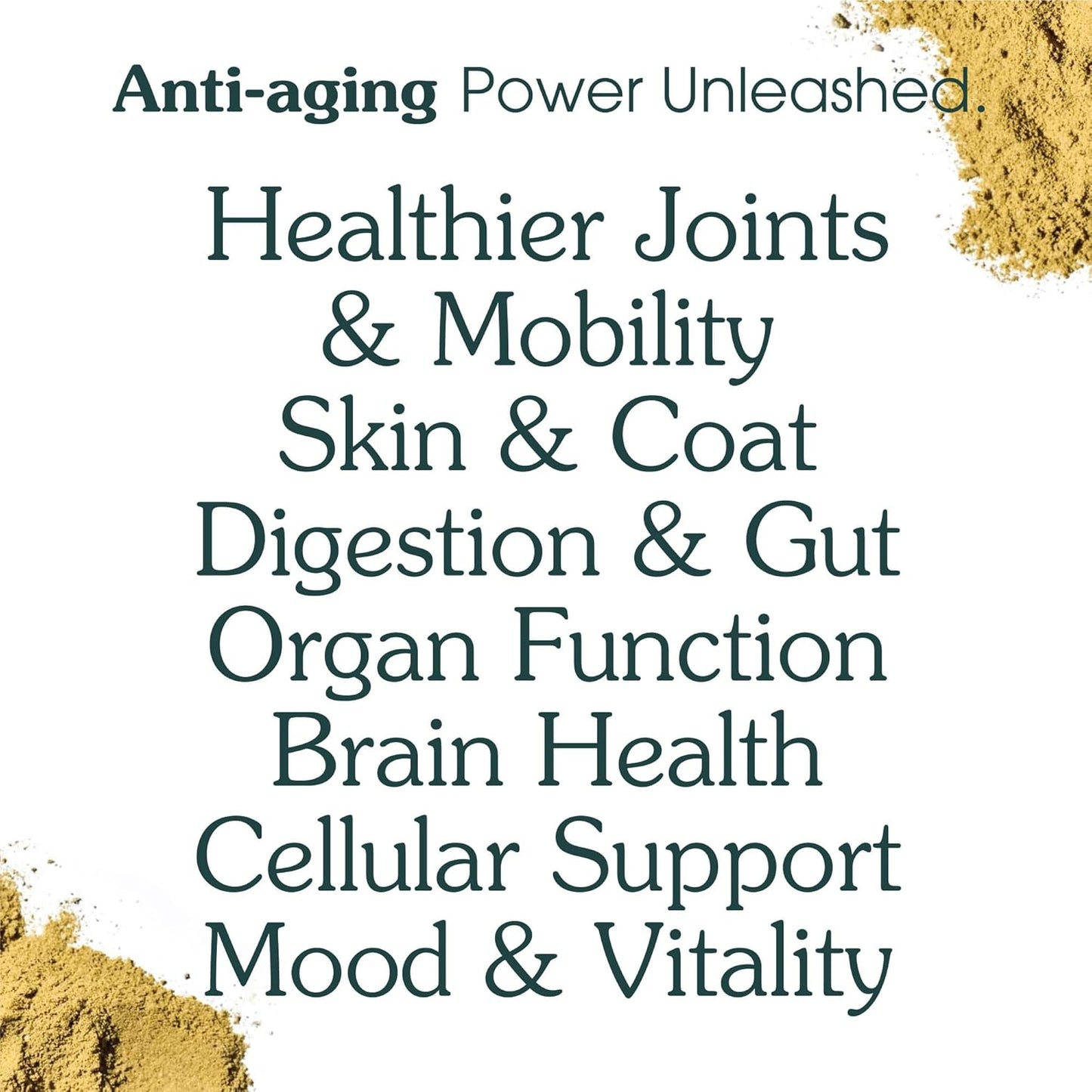 Longevity Multivitamin for Adult Dogs – 46 Ingredients for Gut, Immune & Brain Health – Daily Supplement & Food Topper for Whole Body Wellness | Sample Size