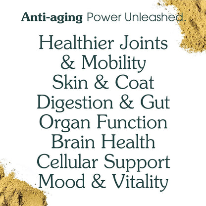 Longevity Multivitamin for Adult Dogs – 46 Ingredients for Gut, Immune & Brain Health – Daily Supplement & Food Topper for Whole Body Wellness | Sample Size