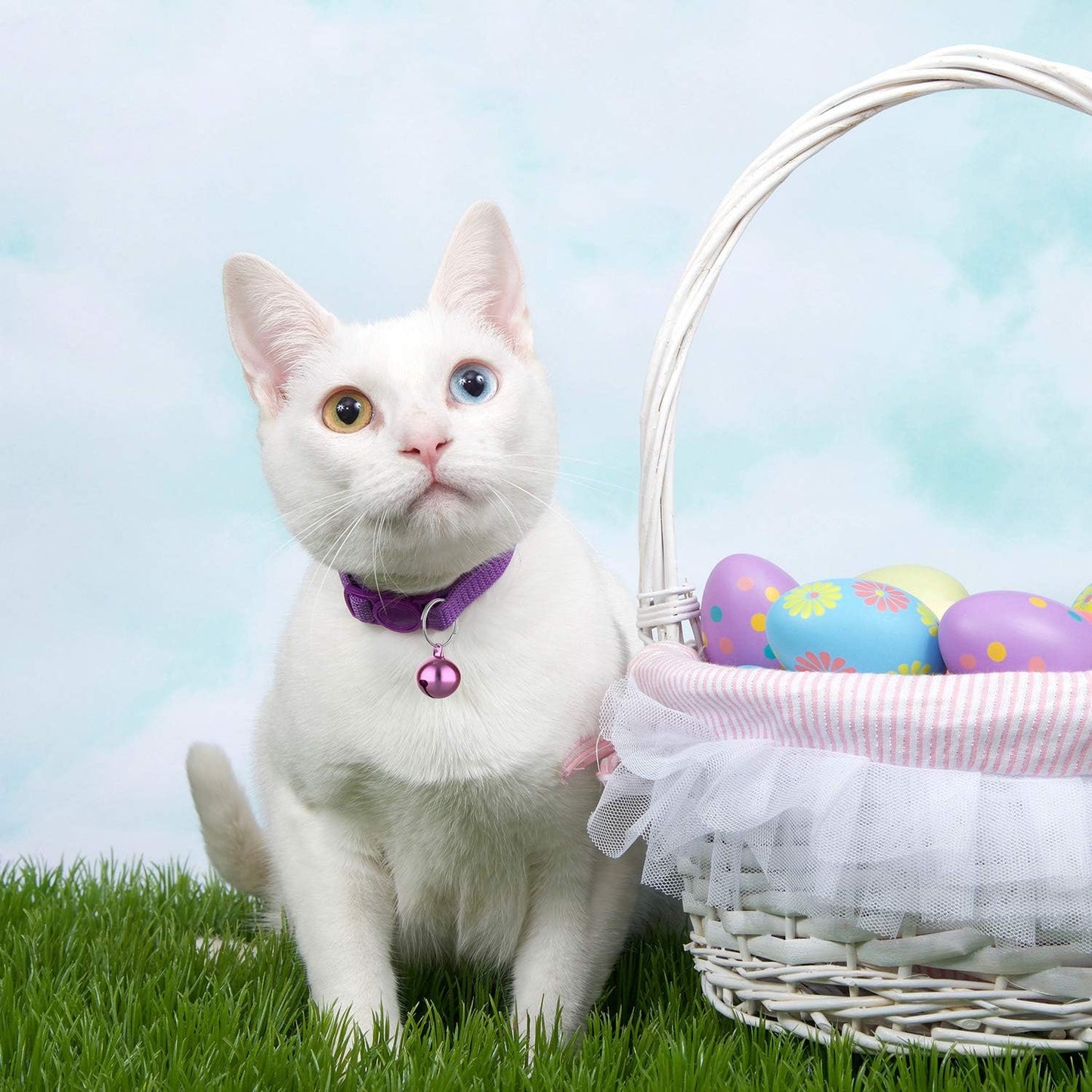 Outus 24 Sets of Cat Bells for Cat and Dog Collar Pendant Pet Bell Pet Pendant Accessories