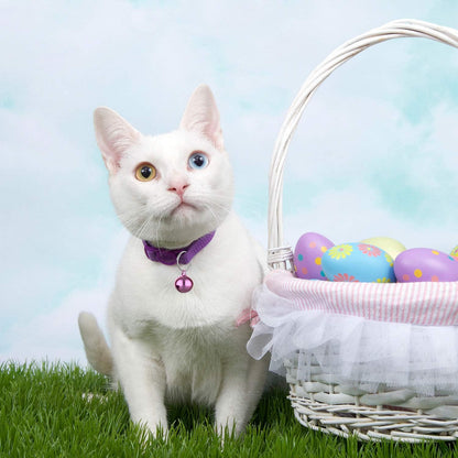 Outus 24 Sets of Cat Bells for Cat and Dog Collar Pendant Pet Bell Pet Pendant Accessories