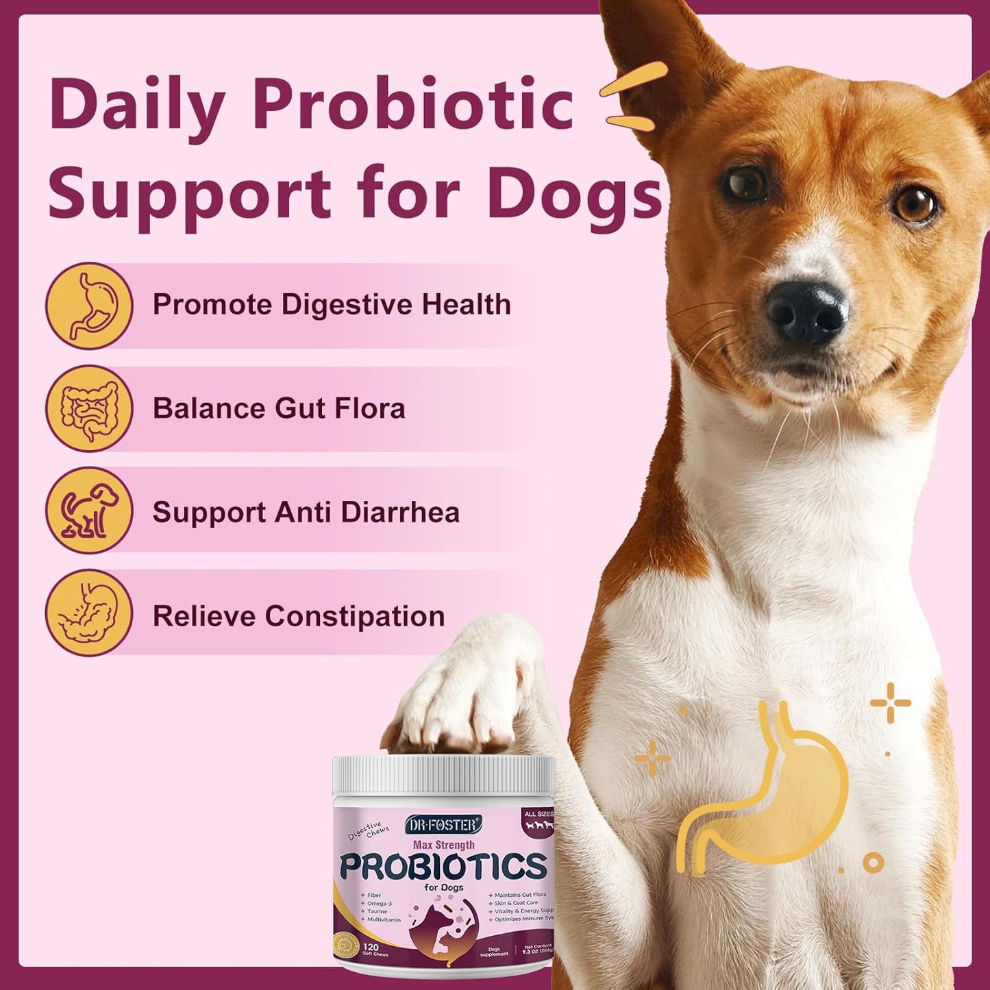 Probiotics for Dogs, Dog Probiotics for Digestive Health, 6 Billion CFU, with Prebiotics & Digestive Enzymes, Pumpkin & Omega-3, Dog Diarrhea Relief & Immune Support, Skin & Coat Care, 120 Soft Chews