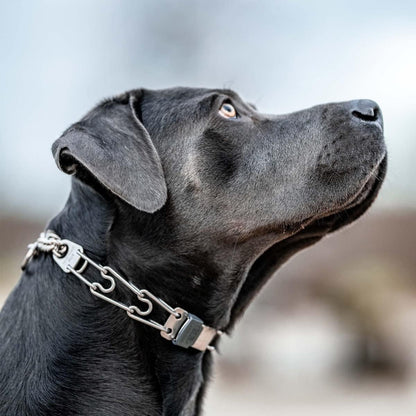 Herm Sprenger ClicLock Fastener Stainless Steel Buckle for Prong Dog Training Collar & Quick Release with Easy Buckle for Medium Large Dogs (3.0/3.2mm)