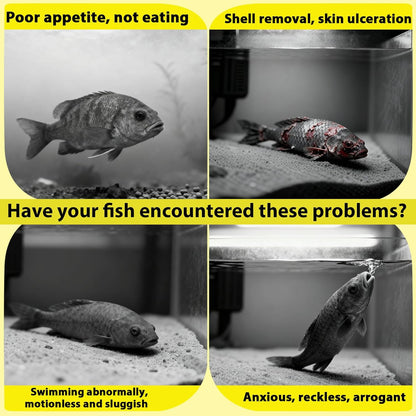 55+ Dried Longan Leaves (4-6 Inch) - Natural Terrarium Leaf Litter for Bioactive Setup, Isopods, Snakes, Frogs, Spiders, Betta Fish- Moisture Retention & Hiding Cover