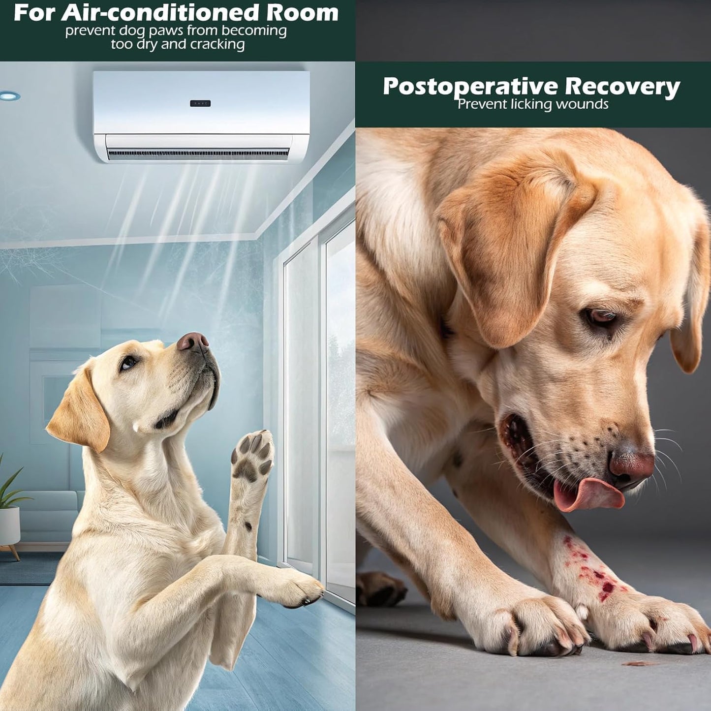 EXPAWLORER Anti Slip Dog Socks to Prevent Licking Paws, Dog Shoes for Cold Winter Snow, Dog Booties for Hardwood Floors, Dog Boots & Paw Protectors with Grippers for Small Medium Large Senior Dogs M