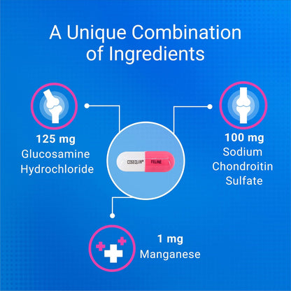 Nutramax Cosequin Joint Health Supplement for Cats - With Glucosamine and Chondroitin, 80 Capsules (Pack of 2)