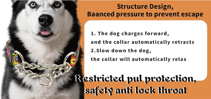 Martingale Dog Collar with Chain Stainless Steel, Nylon Dog Collar Flowers Pattern, Adjustable Training Walking Collar with Quick Release Buckle, Slip Chain Collar for Puppy Medium Large Dogs