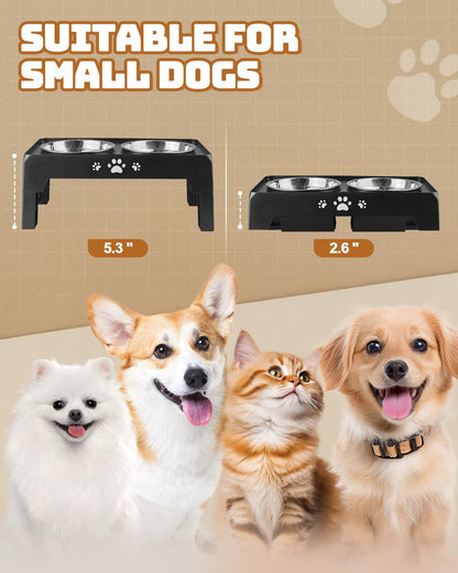Elevated Dog Bowls, Dog Feeder with 2 Stainless Steel Dishes, 2 Heights Adjustable Raised Stand for Small Dogs, Food Dishes with Non-Slip Feet