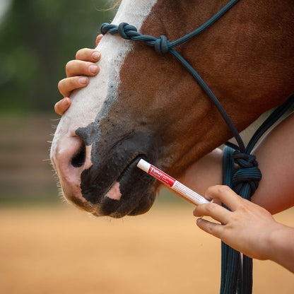 Jeffers Equine Ivermectin Gel Horse Dewormer Paste 1.87%, Broad Spectrum Equine Parasite Control Formula, Apple Flavored Oral Wormer for Horses, Easy Travel Use, Mess Free Syringe Tube - 10 Pack