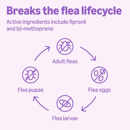 Amazon Basics Flea and Tick Topical Treatment for Dogs, Large (45-88 lbs), Fast Acting and Long Lasting, 6 Counts, Packaging May Vary