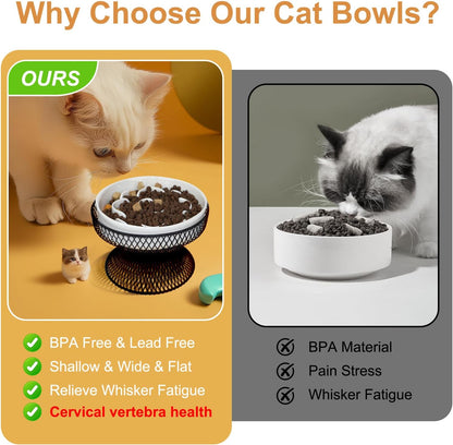Raised Ceramic Cat Slow Feeder Bowl, Elevated Cat Plate with Stand, Slow Bowl for Wet and Dry Food, Whisker Friendly Pet Feeder for Kitten and Small Dog Perfect for Pet Gift