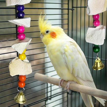 Hamiledyi 2 Pack Bird Toys with Five Cuttlebone - Natural Calcium Chew Toy for Beak Grinding, Hanging Wooden Cage Accessories for Parakeets, Budgies, Cockatiels, Lovebirds(Style C)