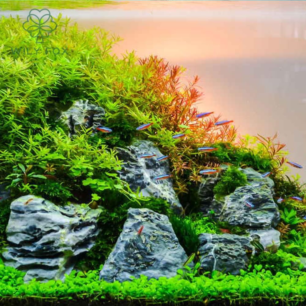 Premium Aquarium Plant Seeds for Planting – 13,000+ Live Mixed Seeds, 8 Varieties – Easy-to-Grow Aquatic Greenery for Lush, Vibrant Fish Tanks