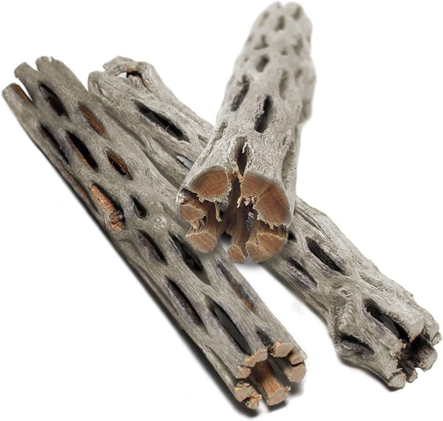 SunGrow Cholla Wood, 6” Climbing Logs, Chew Toy, Aquarium Fish, Snail, and Shrimp Driftwood, Tropical Freshwater Fish Décor, Adds Raw Beauty, 3 Pack