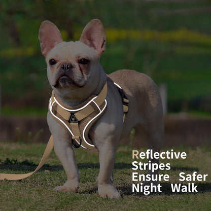 No Pull Dog Harness with Leash Set for Small Sized Dog, Reflective Adjustable No Choke Front Clip Cat Vest Harness with Breathable Mesh, Comfortable Soft Padded Pet Vest, Brown S